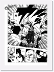 14 * 779 x 1100 * (235KB)